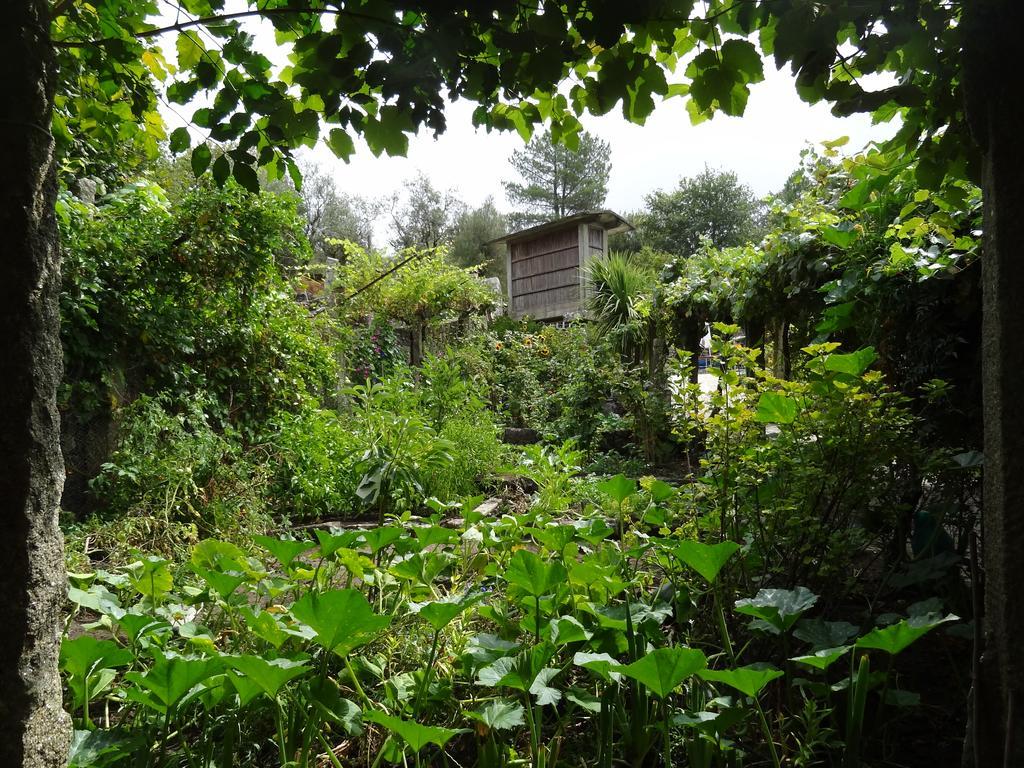 Quinta Das Delicias Sao Tiaguinho Экстерьер фото